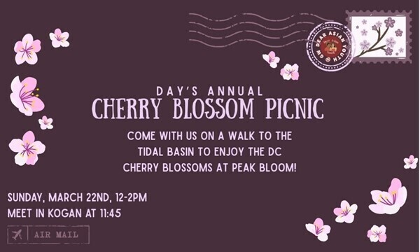 Cherry Blossom Picnic