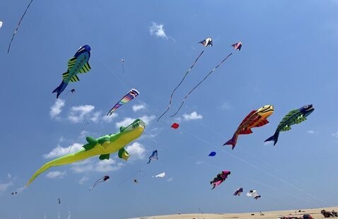 Image of 44th Annual Rogallo Kite Festival