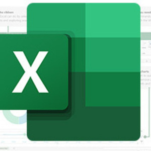 Introduction to Microsoft Excel 365 & 2024