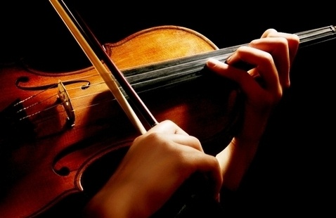 Amerson, viola