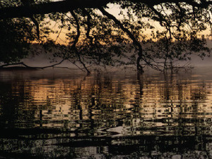 Image of Morning Reflection with Free Breakfast