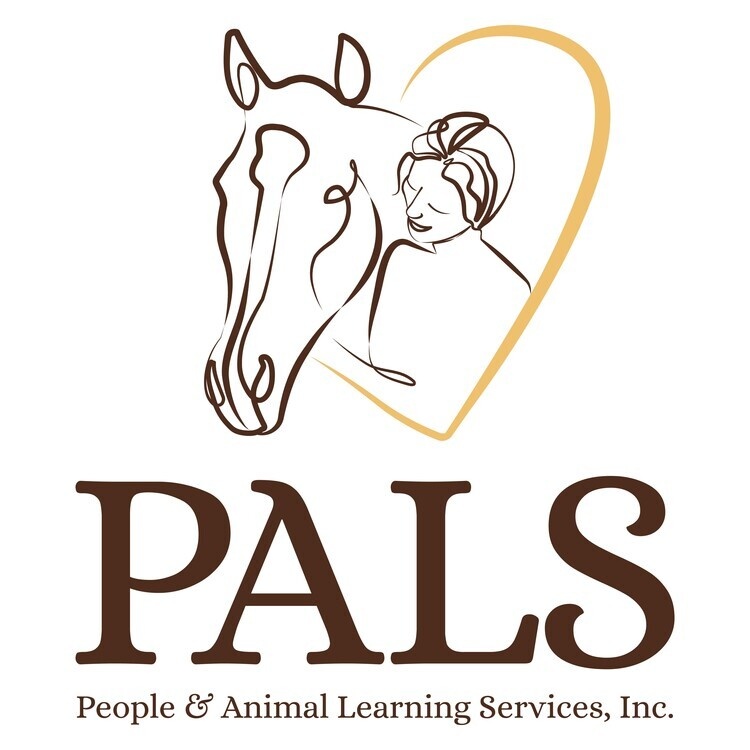 Veterans' Horsemanship Lesson