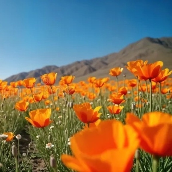 <a href='https://arts.stanford.edu/?event=evening-land-eight-songs-from-california-for-voices-and-piano-a-world-premiere-concert' title='EVENING LAND: Eight Songs from California for Voices and Piano – A World-Premiere Concert'>EVENING LAND: Eight Songs from California for Voices and Piano – A World-Premiere Concert</a>