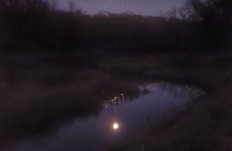 moon reflecting on water at night