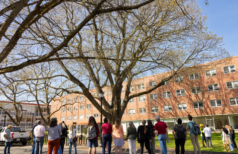people around a prominent tree on campus