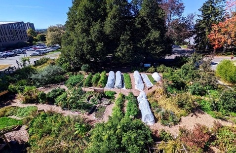 UMass Permaculture Gardens