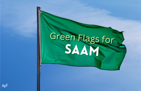 blue sky with green flag waving in front