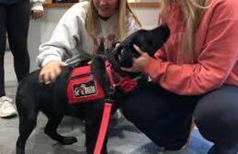 Black lab Cedar in his red vest being petted by two blonde girls. 