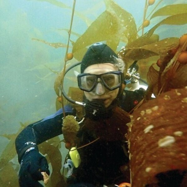 <a href='https://arts.stanford.edu/?event=discussing-the-book-forest-of-the-sea' title='Discussing the book | Forest of the Sea'>Discussing the book | Forest of the Sea</a>
