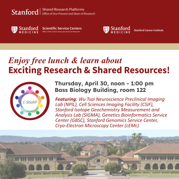 Lunch & learn seminar flyer 