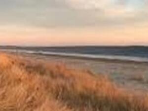 Image of CAMPING TRIP