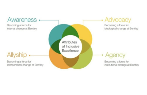 Image of Ally 101 Workshop