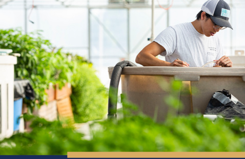Image of Kid's Aquaponics Camp: Farming With Fish