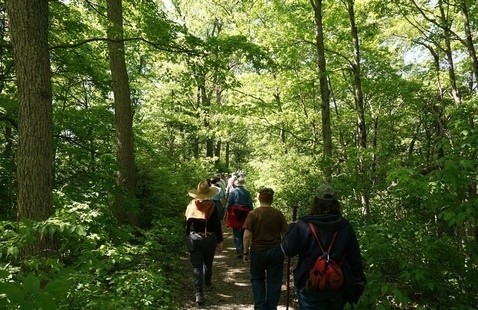 hikers