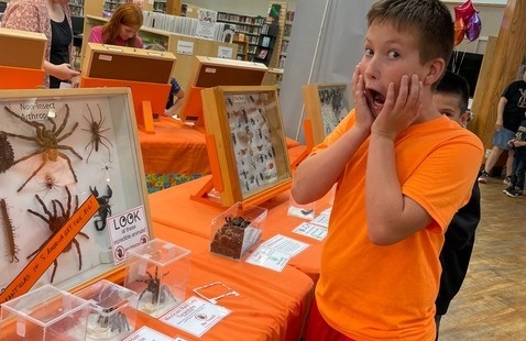 Image of Learn It!  BugFest!