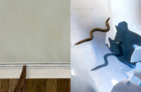 IMAGE DETAILS (L-R): ©Camryn Connolly, ©Suzi Grossman