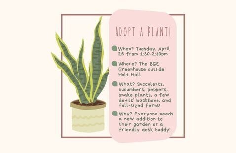 Photo of event graphic