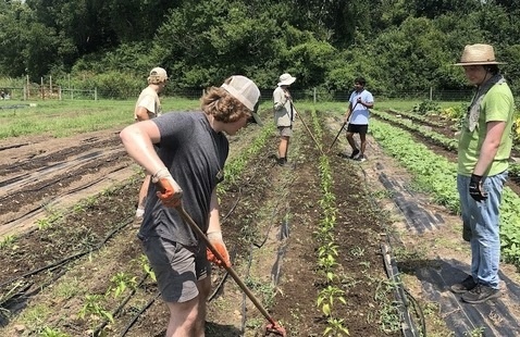 Volunteers at the Agroecology Education Farm working.