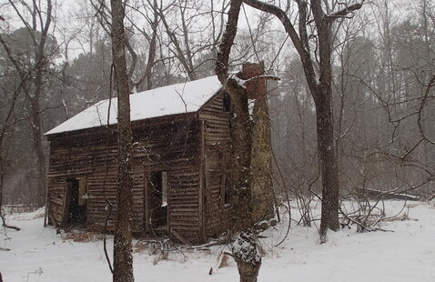 Image of Anthony Cole Homestead Hike
