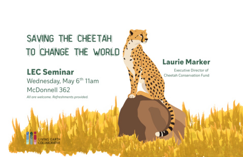 Image of Saving the Cheetah to Change the World:  Laurie Marker