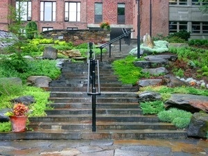 Photo depicts the Heckel Staircase in the Pollinator Garden on campus. The stairway is bordered by beautiful flowers and plantings.