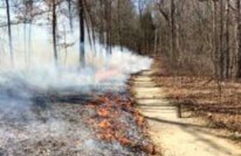 Prescribed fire