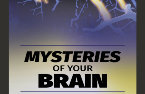 Text reads "Mysteries of your Brain" in black, bold font, above which are neuron branches, blue with yellow highlights.