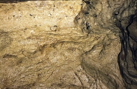 rocks and minerals