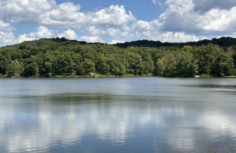 The forested shores of a lake with a blue, cloudy sky reflected in it