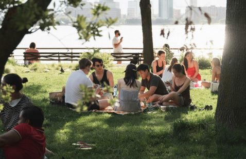 People having a picnic