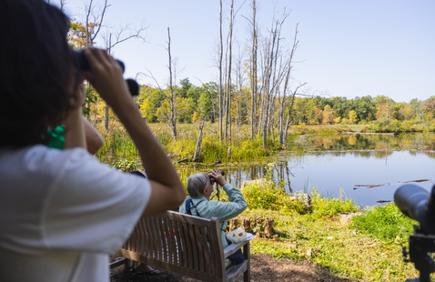 Birders photo by Alexandra Bayer