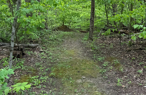trail
