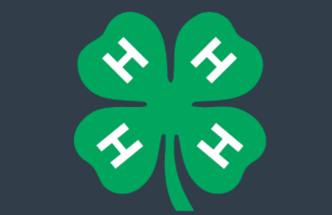 4-H Clover