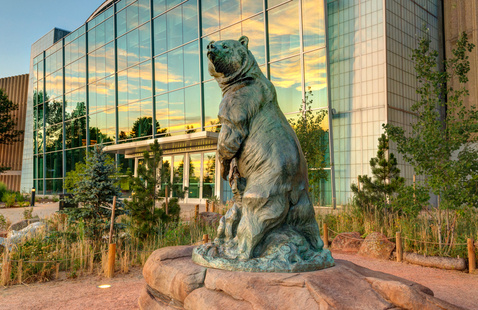 Bear statue at Denver Museum of Nature and Science