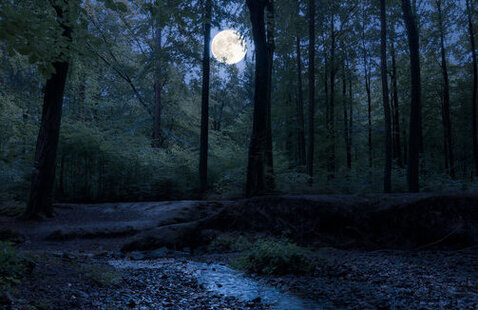 Image of Hey There Little Red Riding Hood; Full Moon Hike at Keith Springs to Indian Springs