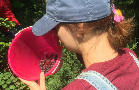 a person in a hat looks into their bucket of berries