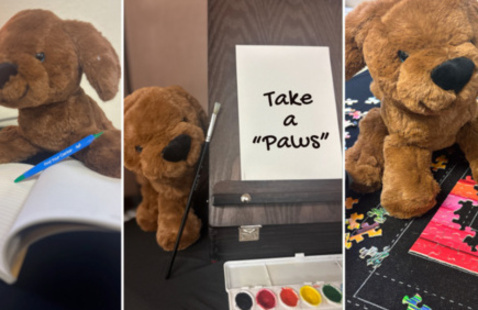 Photos of a stuffed anmimal with a notebook, an easel, and a jigsaw puzzle