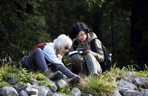 Two women study a plant growing amongst rip-rap rocks.