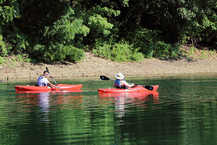 Wildlife Watchers on the Water - 2026 Kayak Program