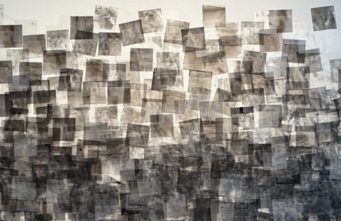 IMAGE DETAIL: ©Shailee Thakkar
