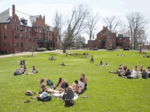 Image of Activities on the Green