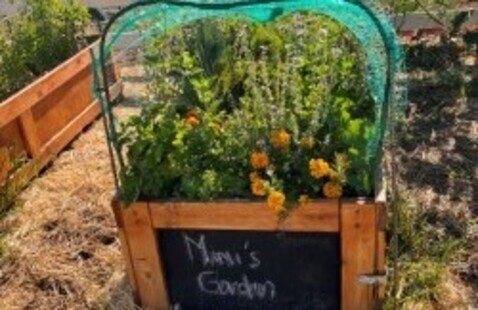 Raised wooden garden bed filled with flowering plants and herbs, including orange marigolds, covered by a green mesh pest net. A chalkboard sign on the front reads “Mimi’s Garden,” and a blooming garden in the background.