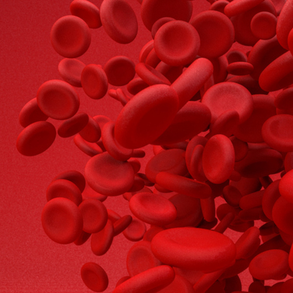 International Symposium on aß T-cell/CD19 B-cell Depleted Haploidentical HSCT