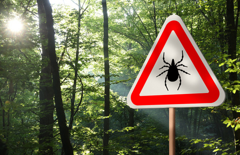 Image of Lyme Disease and Other Tick Born Illnesses