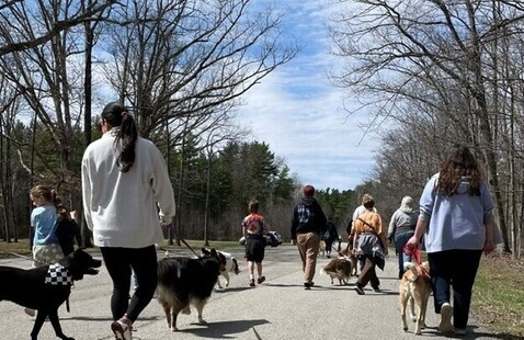 People and dogs walking as a group