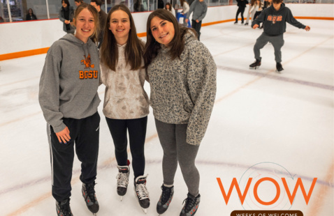A skate show on ice with the weeks of welcome logo