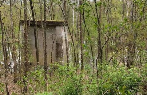Bridge Pillar ruins in forest
