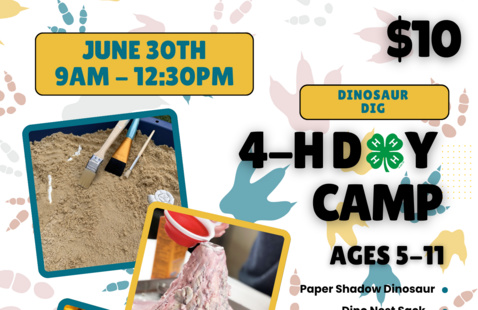 Image of Linn County 4-H Day Camp 