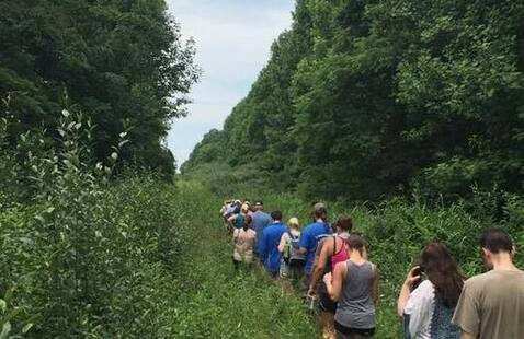 Hikers walking through clearing in forest