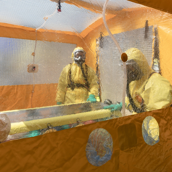 WEBINAR | From Hantavirus to Ebola: How Changing Environments Are Driving Disease